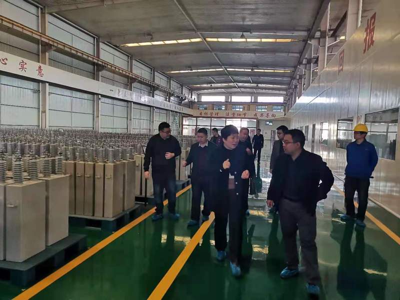 泰开集团董事长_泰开集团(3)